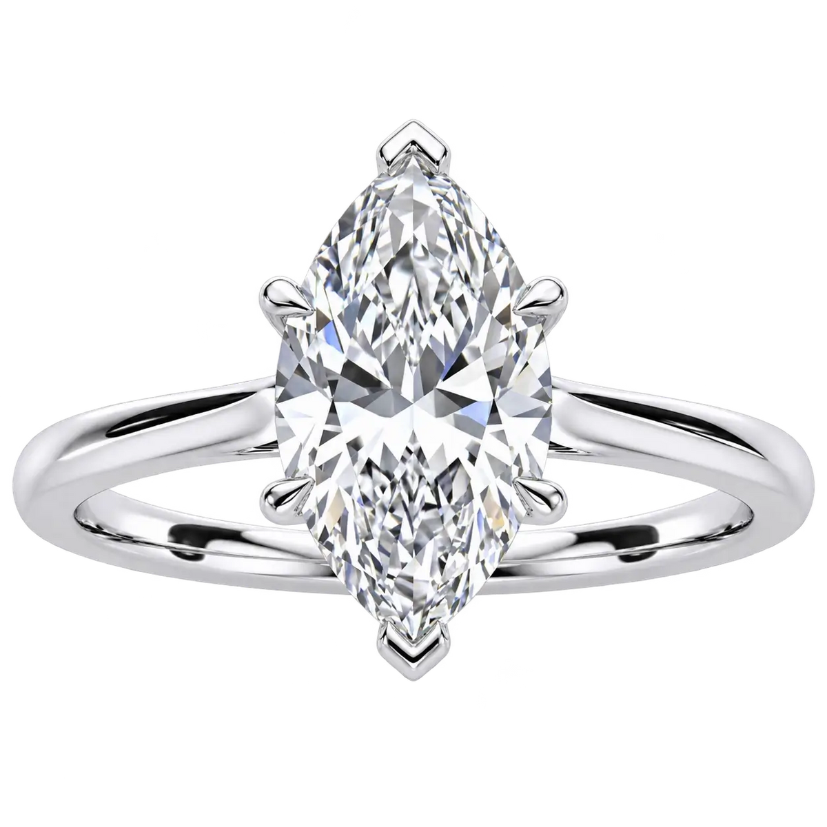 Marquise