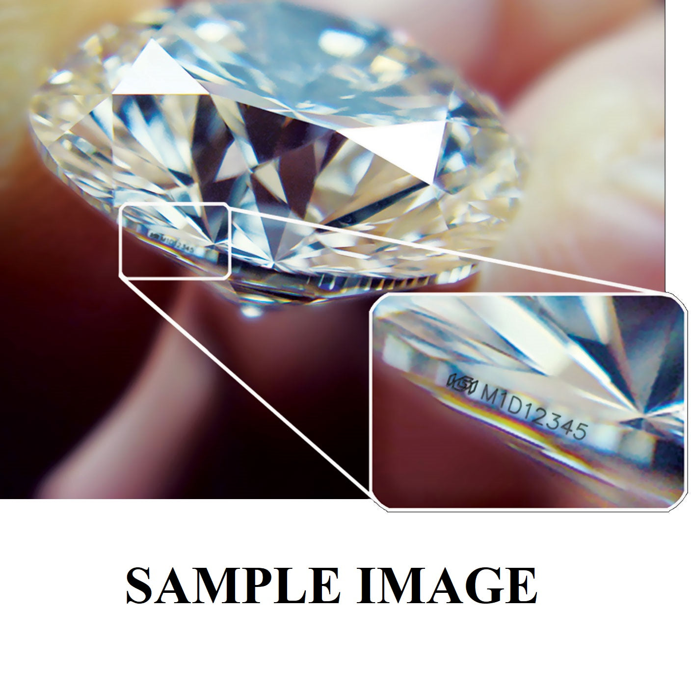 Clearance Sale ! IGI Certified Round Diamond Stud Earrings in Platinum - 2Ct-4Ct G/VVS-VS