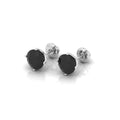 1.00 Carat Black Diamond Women's Stud Earrings